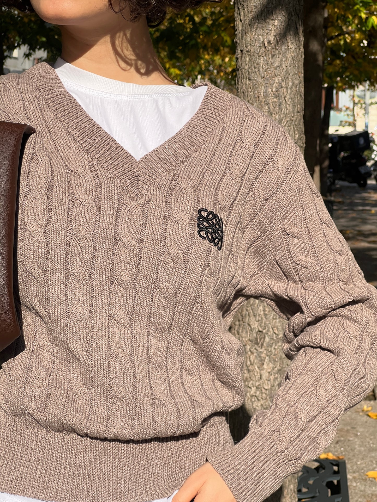 Loewe sweater in caffee