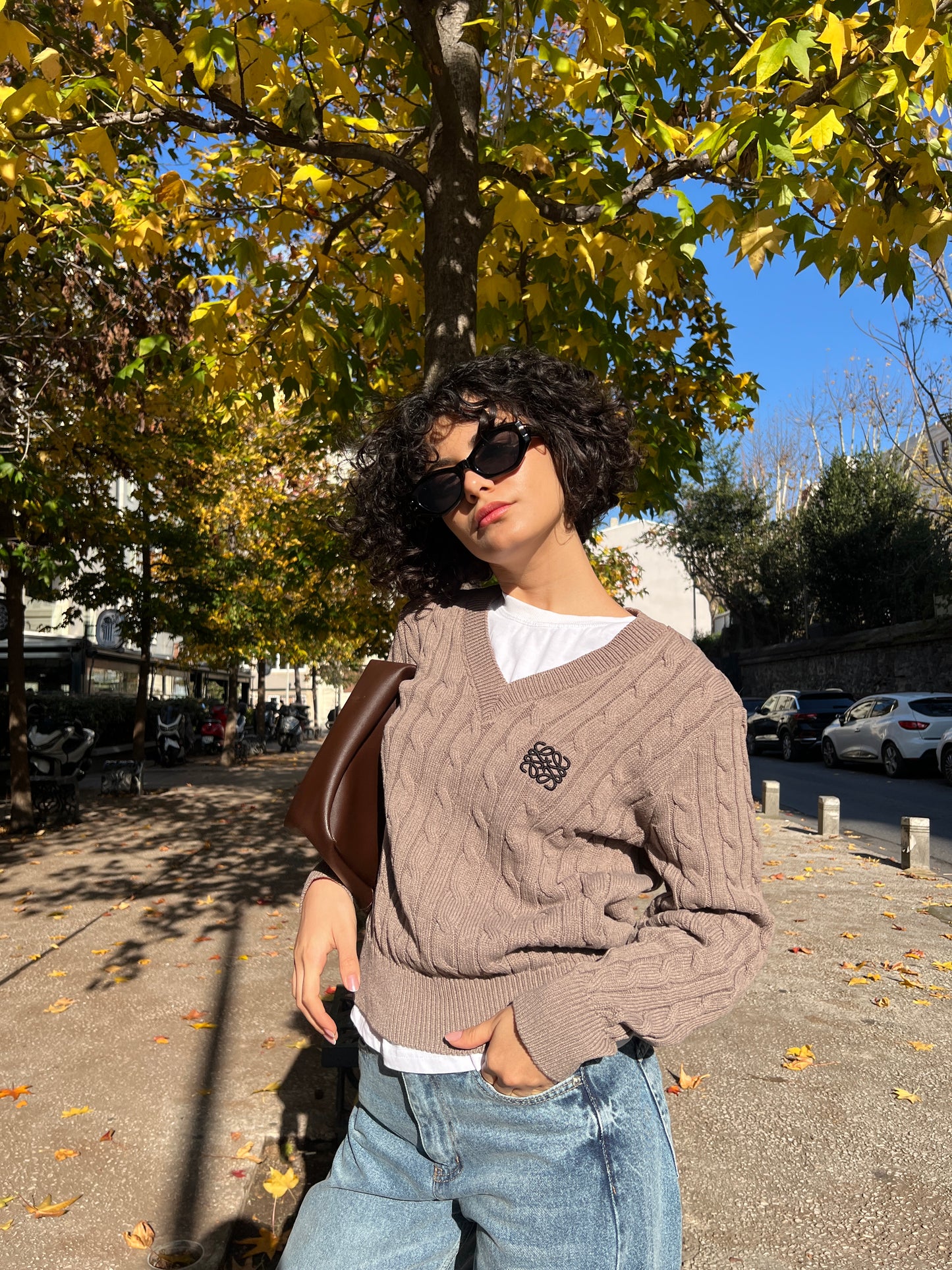 Loewe sweater in caffee